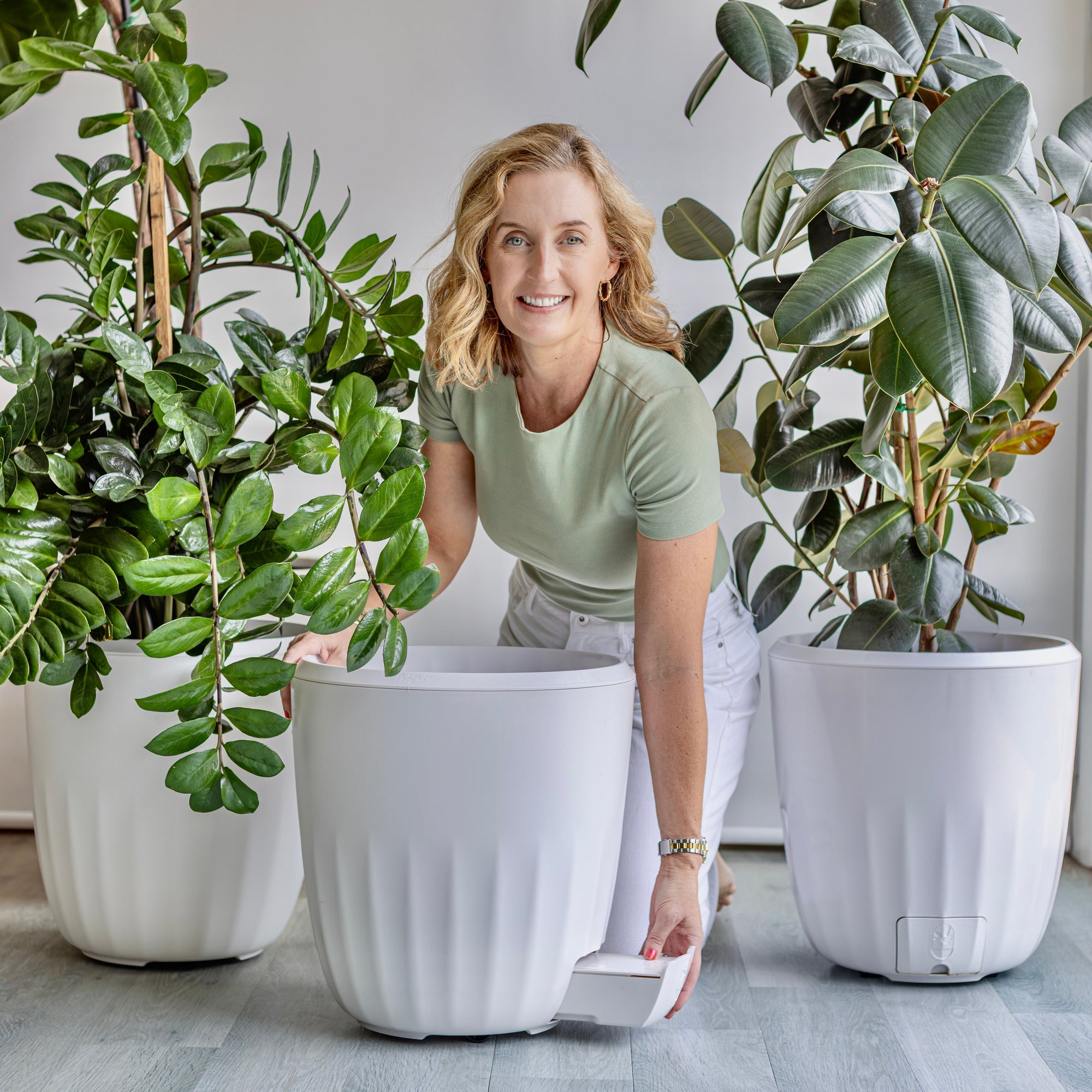 Overwatering is the main cause of plant deaths