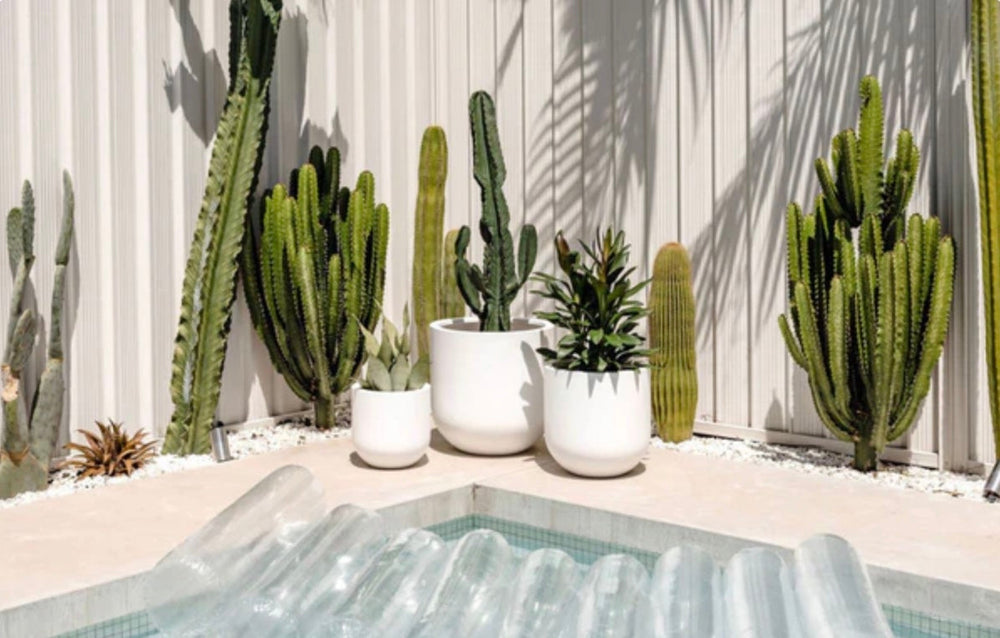 Perky Spring Plant Trends We’re Loving (and How to Try Them at Home)