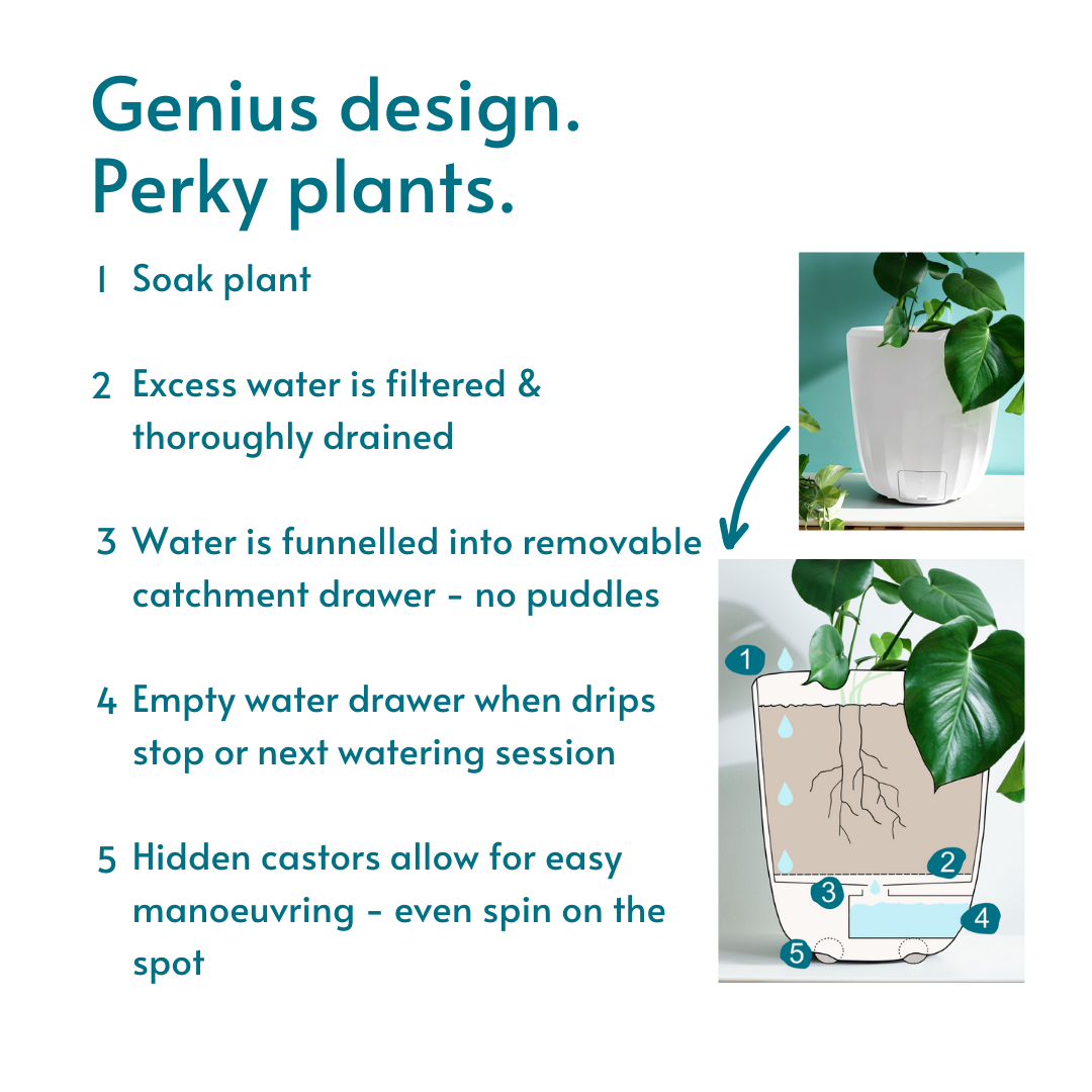 Genius Design, Perky plants. Innovative PerkyPod white plant pot. How does it work.