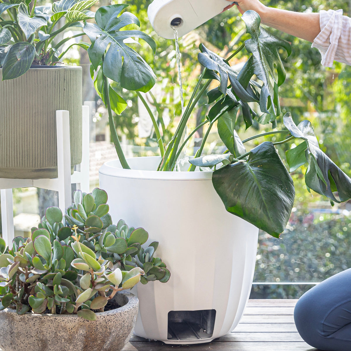 PerkyPod- Self Draining Plant Pot Innovation- Stop Killing Your Plants