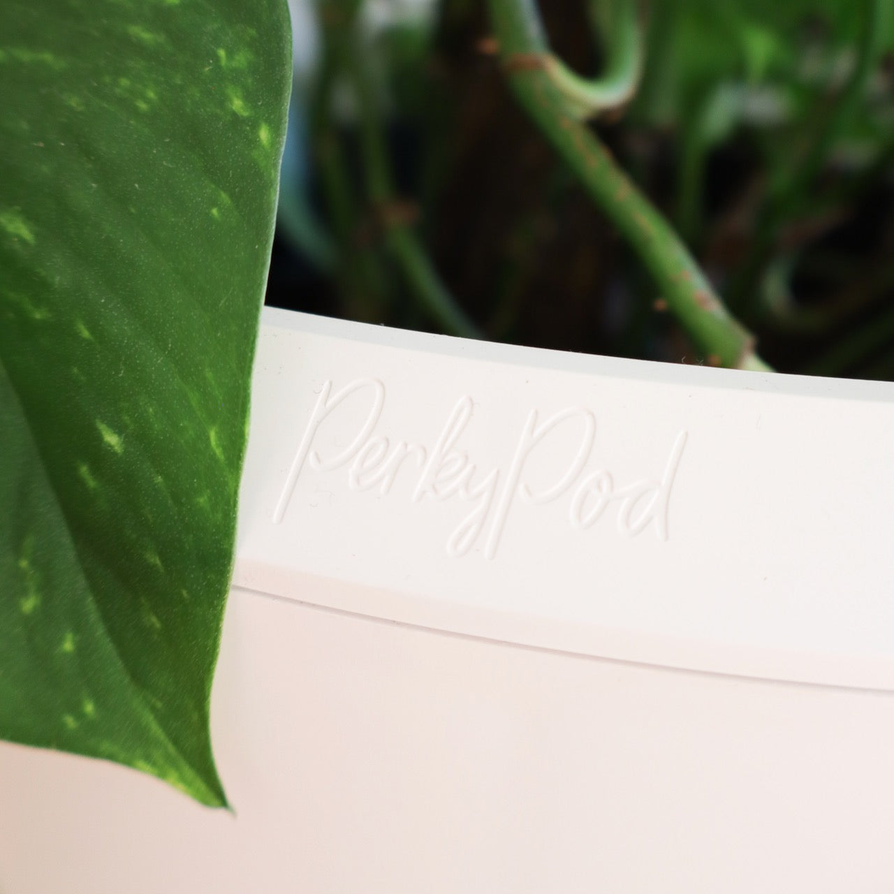 PerkyPod Large White Plant Pot Close up view of Logo on top of pot