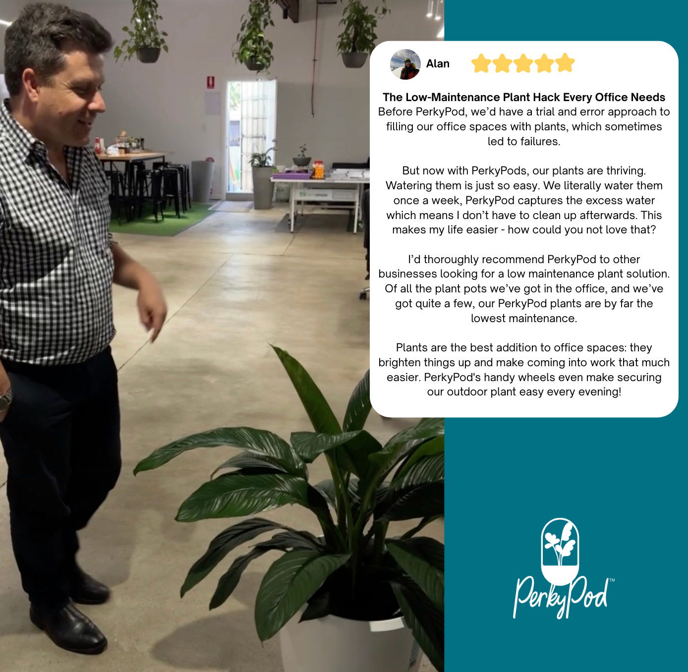 Man standing next to a potted plant in an office setting with a PerkyPod review overlay. Five star review says it is the low maintenance plant hack every office needs and plants are thriving with easy watering. Highly recommended to other businesses and they use the wheels every day to secure the plant indoors after hours.