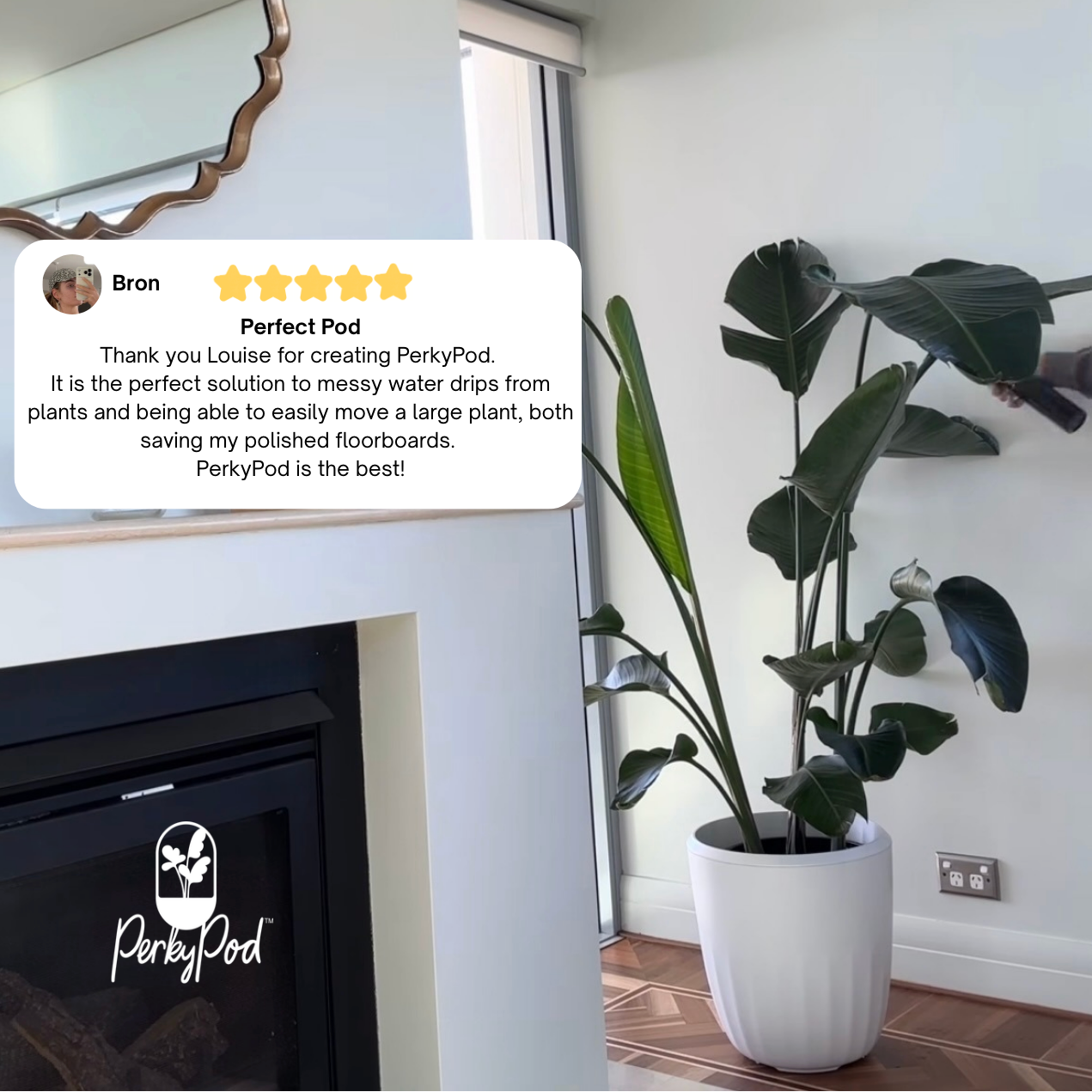 Potted plant next to a fireplace with a review card and PerkyPod logo. A five star review from customer Bron says it's the perfect solution to messy water drips from plants and has saved her polished floorboards.