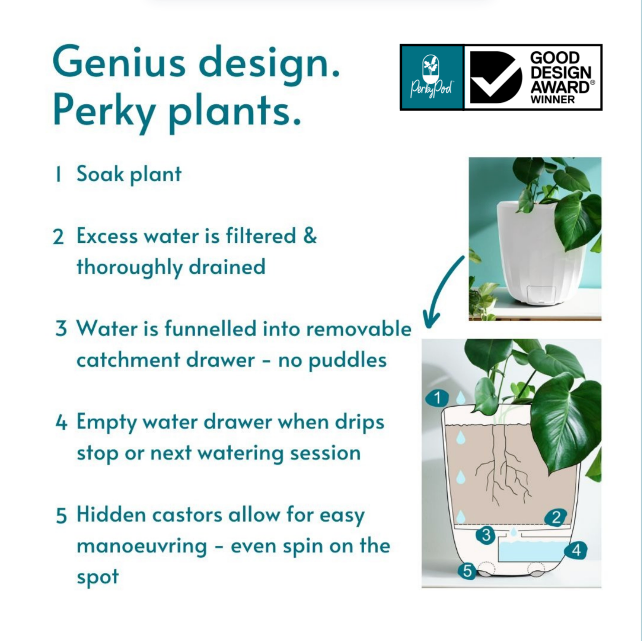 Product description with images of PerkyPod plant pot and water drainage system, featuring a patent pending water catchment system that stops puddles