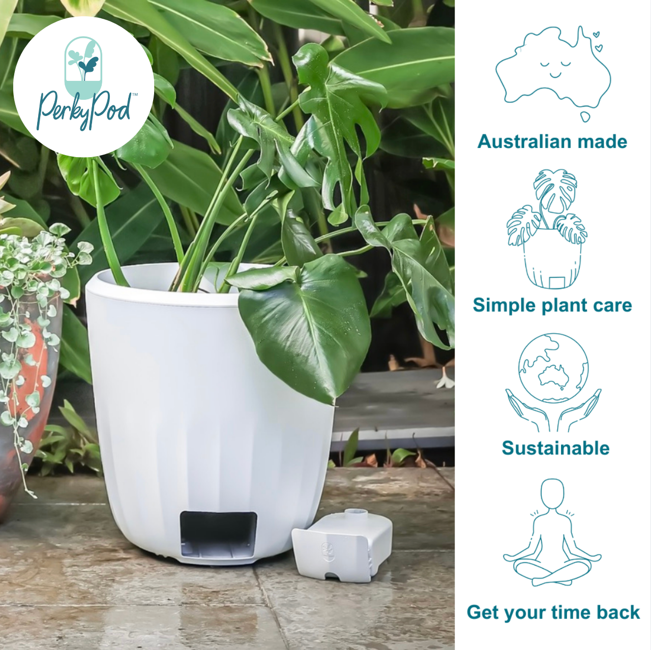White plant pot with PerkyPod branding, featuring a plant and Australian-made benefits on the right. Simple plant care, sustainable and get your time back.