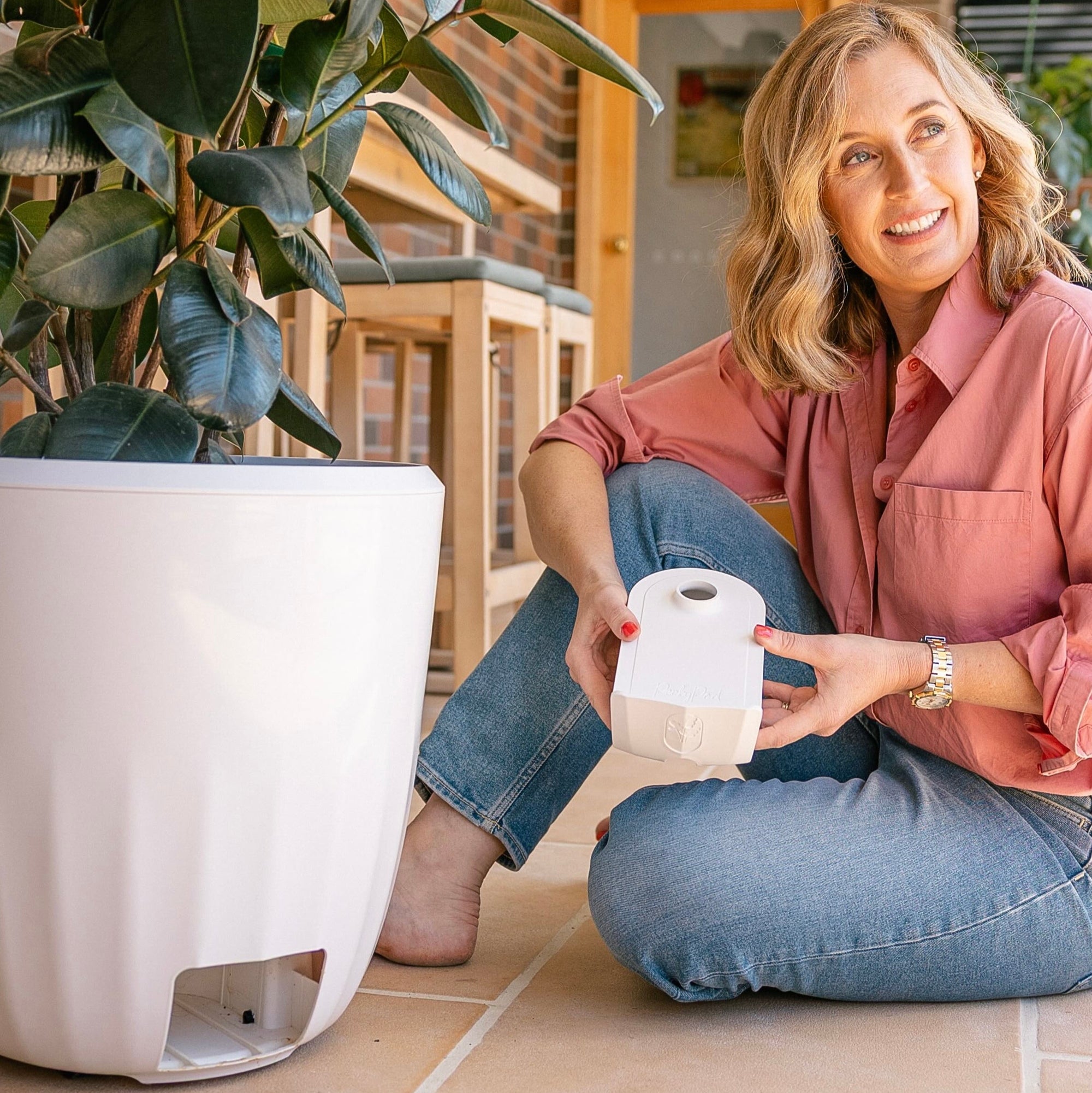 A large white PerkyPod plant pot with a super sized Ficus Burgundy (Rubber Tree) sits on pavers in an outdoor alfresco area at a woman’s home. She has removed the PerkyPod water drawer and is holding it in her hands.