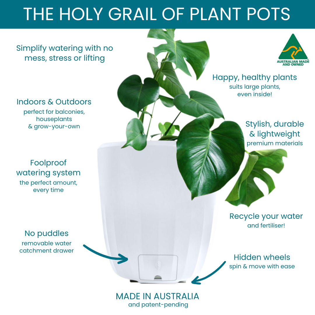 PerkyPod white plant pot holy grail - infographic showing features and Australian Made