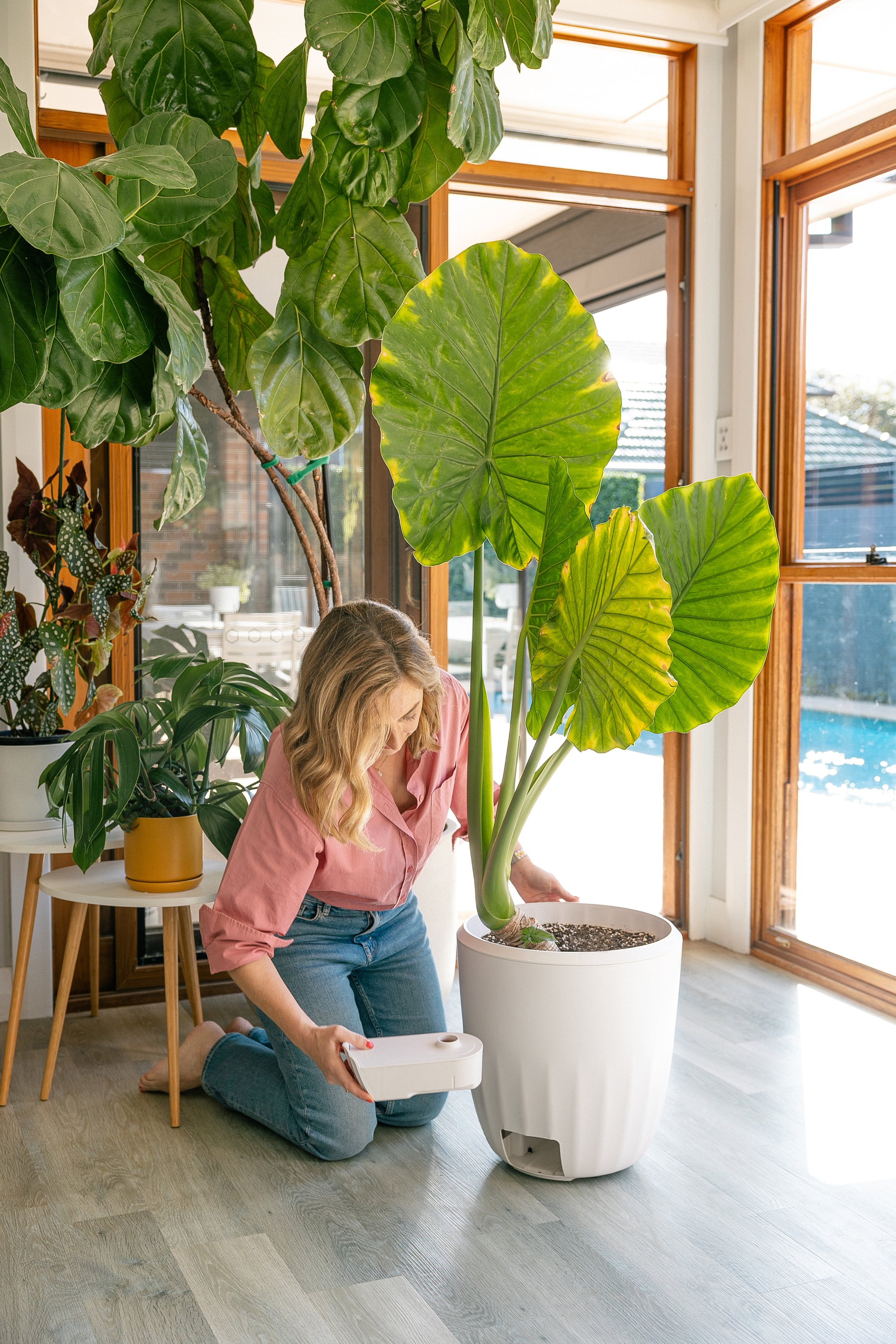 PerkyPod Plant Pot White