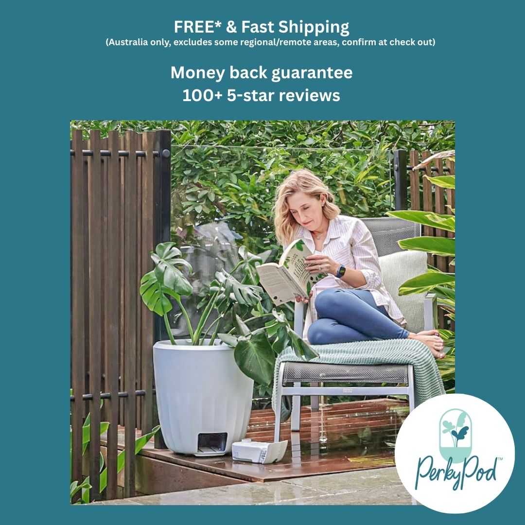 PerkyPod Plant Pot White