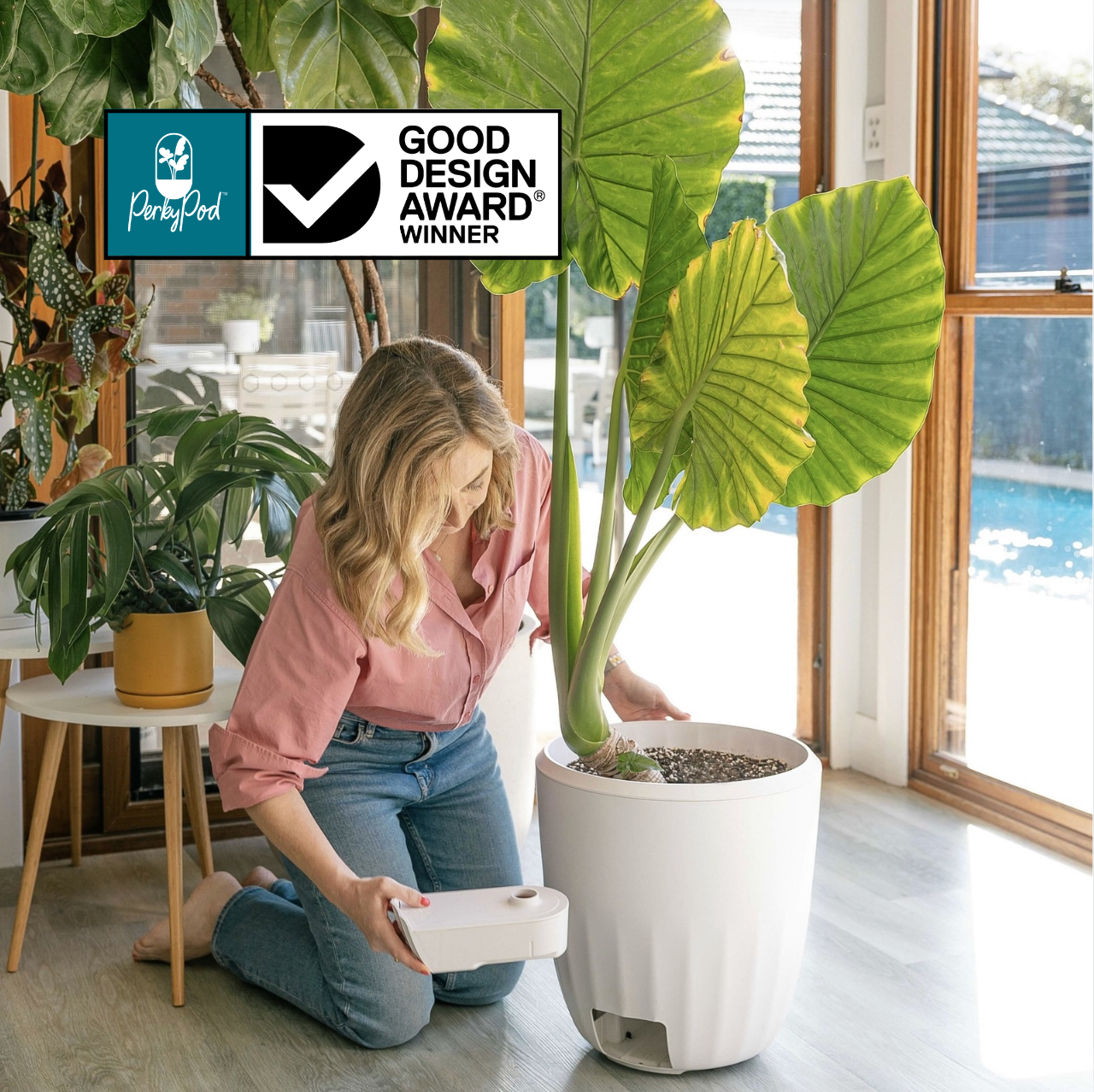 Woman tending to a large potted plant in a PerkyPod indoors with a Good Design Award winner badge displayed.