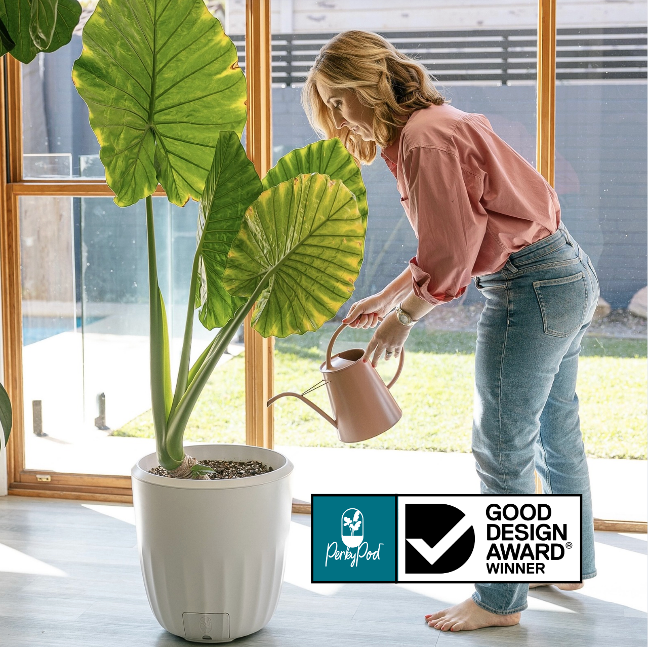Woman watering a large green plant indoors in a PerkyPod pot with a Good Design Award logo displayed.